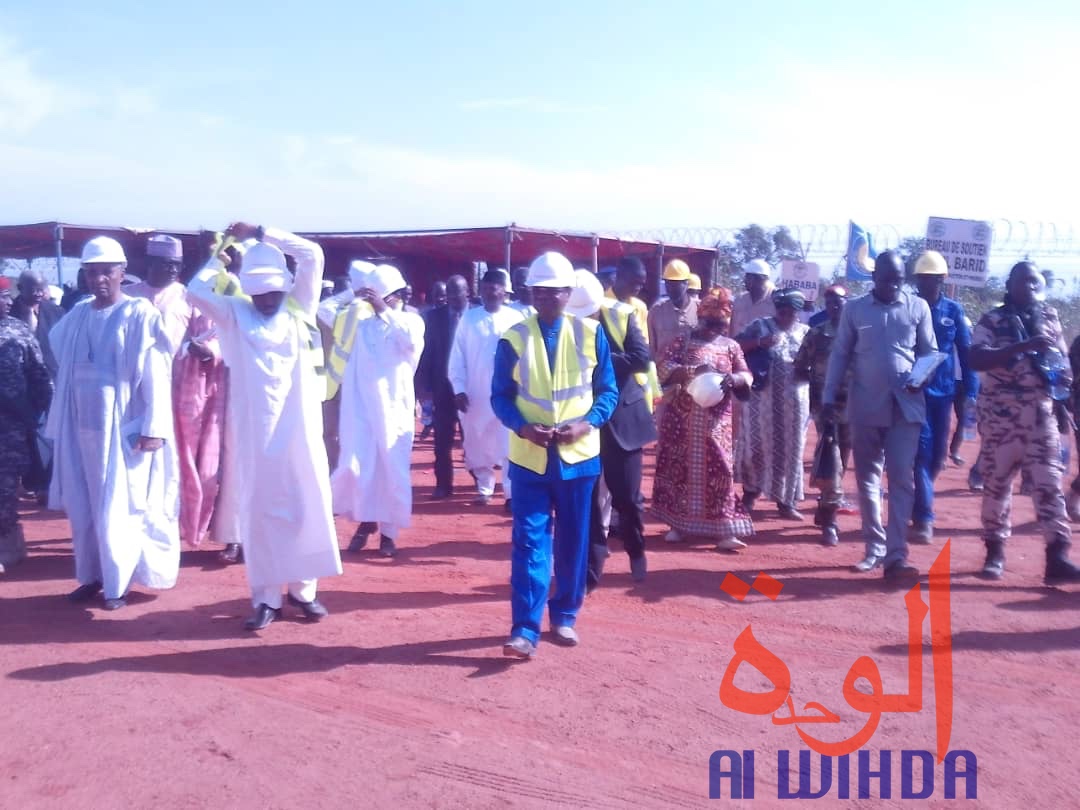 Tchad : la filière coton est "sur la bonne voie". © Alwihda Info