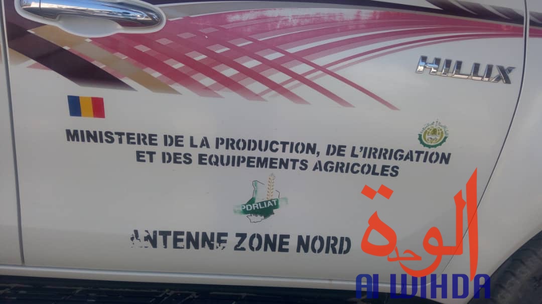Tchad : un projet pour renforcer les producteurs maraîchers au Nord. © Alwihda Info