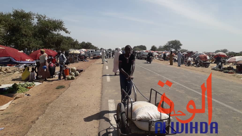 Tchad : Lina, un carrefour pour les marchands de bétail. © Alwihda Info