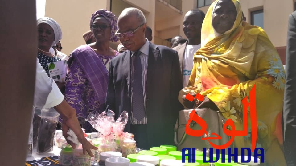 Tchad : la semaine mondiale de l'entrepreneuriat lancée à N'Djamena