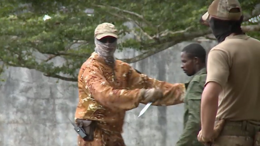 Russian influence in Africa and the Middle East: winning bet or programmed stalemate? © DR