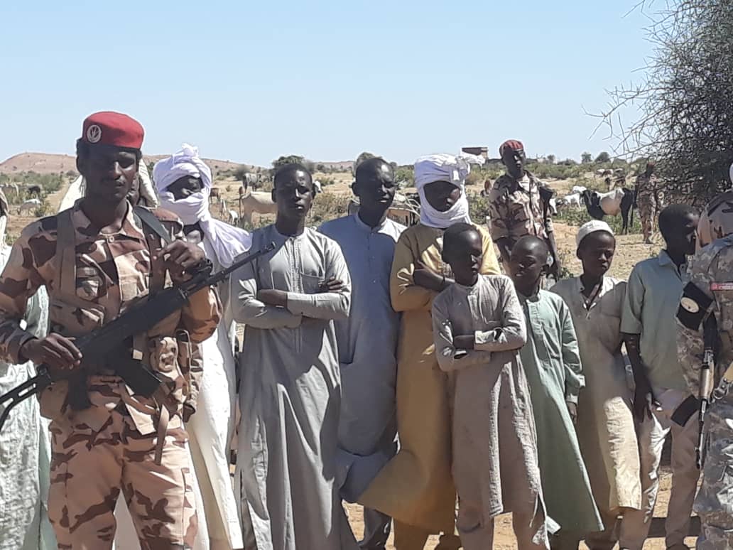 Tchad : lancement de la vaccination du cheptel à l'Est.