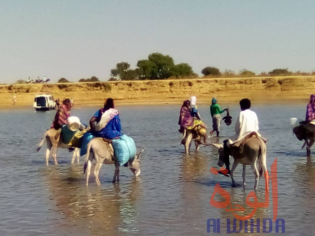 Tchad : à Koukou Angarana, l'activité économique fait oublier l'état d'urgence
