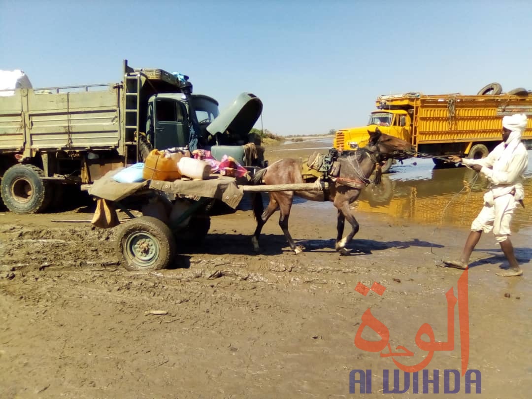 Tchad : à Koukou Angarana, l'activité économique fait oublier l'état d'urgence