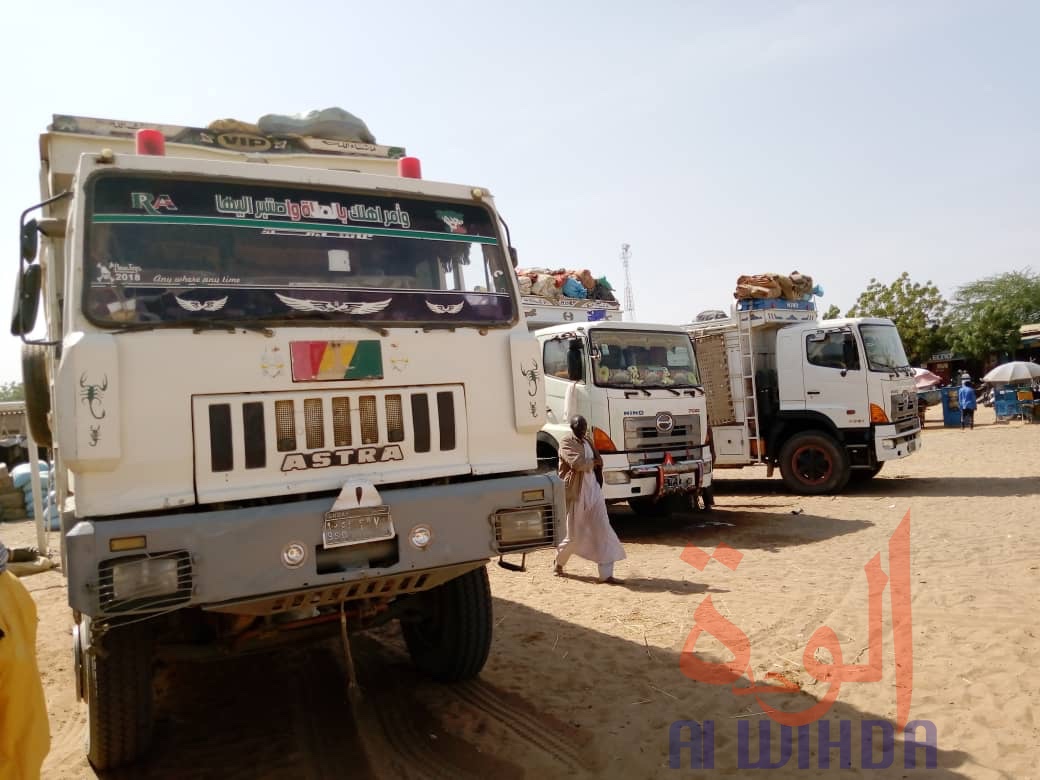 Tchad : à l'Est, le sésame s'exporte jusqu'au Soudan. © Alwihda Info