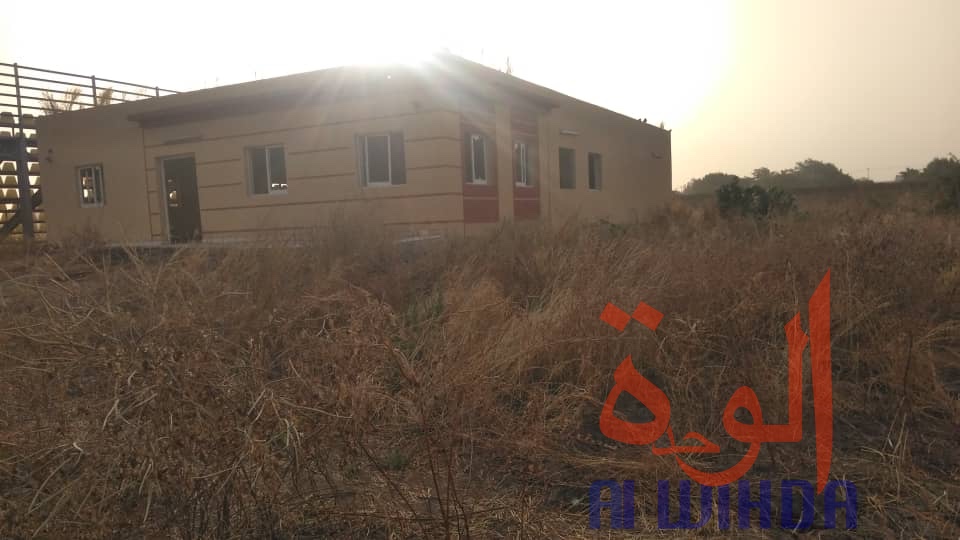 Tchad : à N'Djamena, le stade de Diguel est à l'abandon. © Alwihda Info/Malick Mahamat