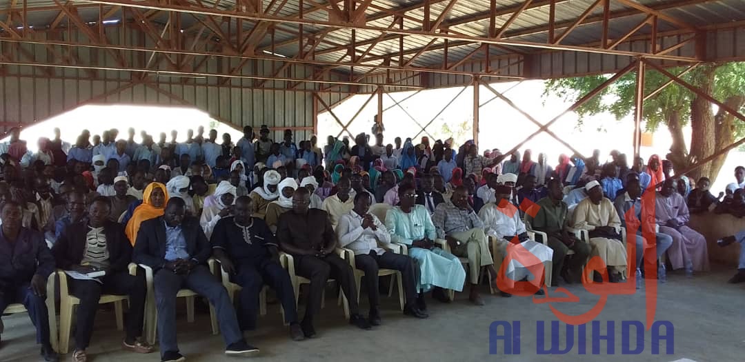 Tchad : des enseignants volontaires mis à la disposition d'écoles à Ati. © Alwihda Info/Hassan Djidda Hassan
