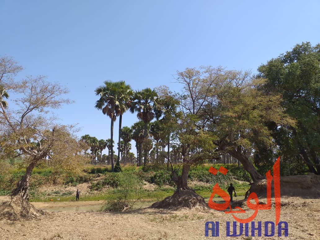 Tchad : A Kerfi, un paysage fascinant. © Mahamat Issa Gadaya/Alwihda Info