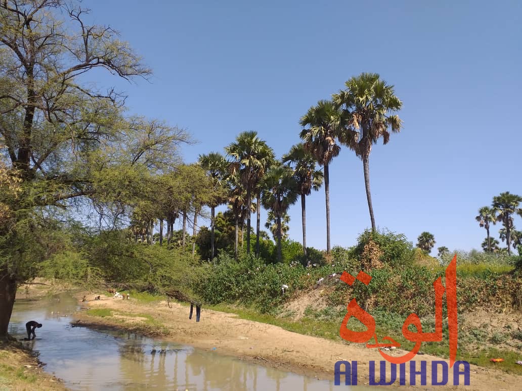 Tchad : A Kerfi, un paysage fascinant. © Mahamat Issa Gadaya/Alwihda Info