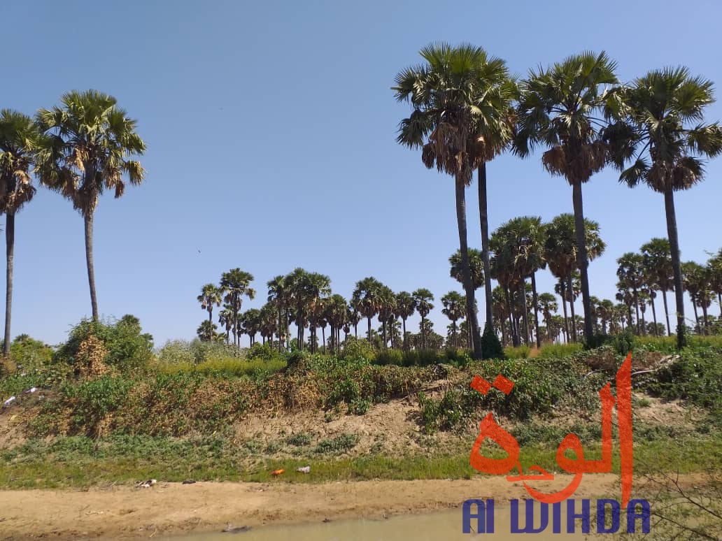 Tchad : A Kerfi, un paysage fascinant. © Mahamat Issa Gadaya/Alwihda Info