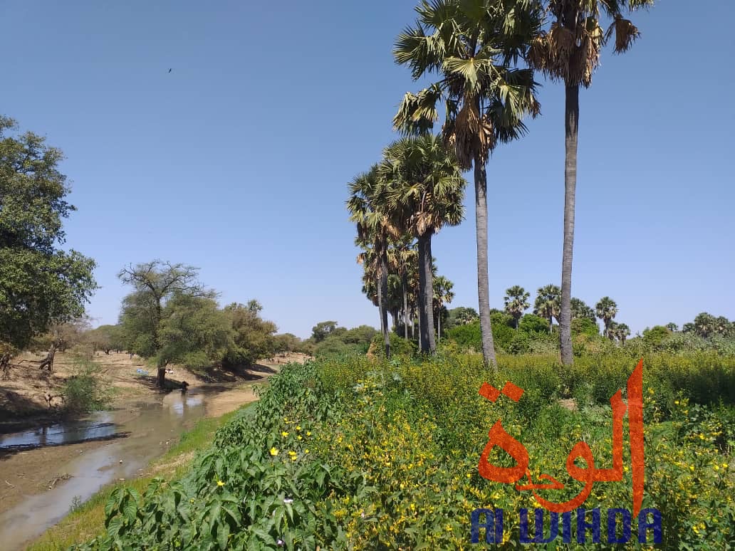 Tchad : A Kerfi, un paysage fascinant. © Mahamat Issa Gadaya/Alwihda Info