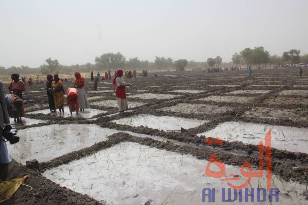 Tchad : une mission de la Banque mondiale s’est rendue au Hadjer Lamis. © Mahamat Abdramane Ali Kitire/Alwihda Info