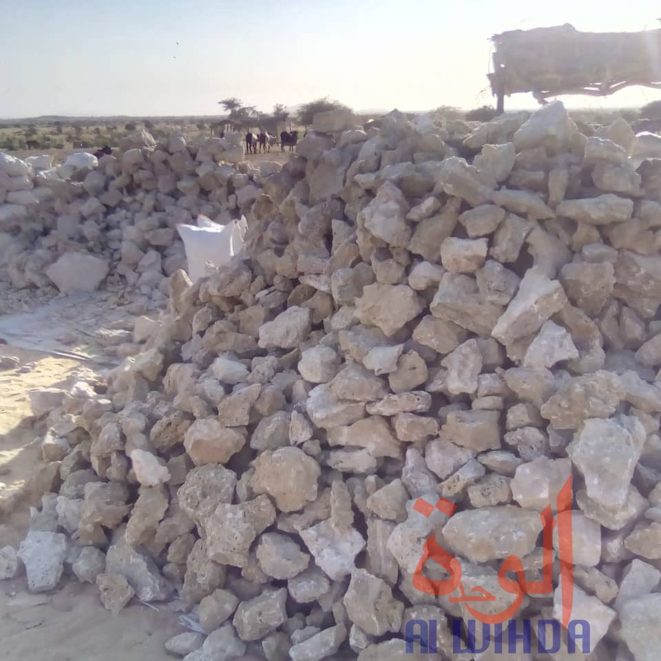 Tchad : le natron, une ressource naturelle transportée dans tout le pays. © Abba Issa/Alwihda Info