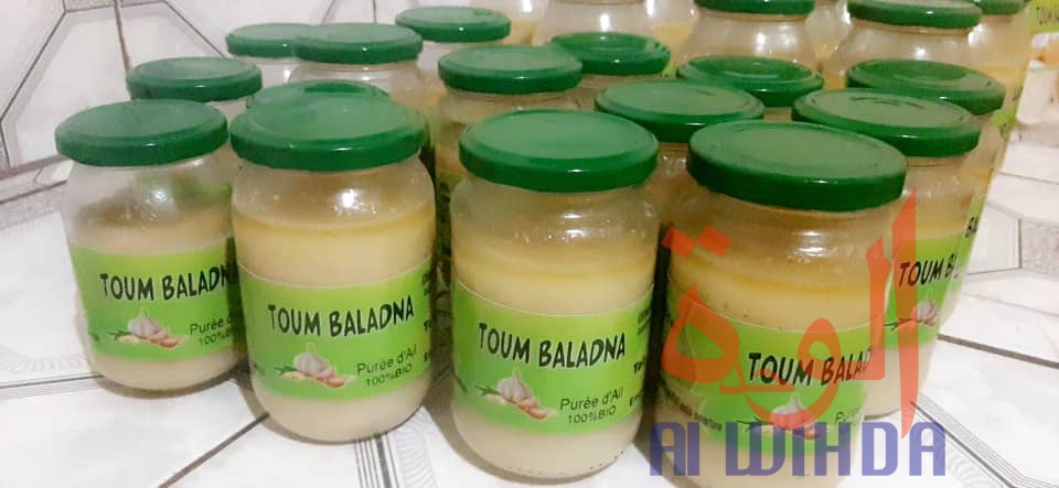 Tchad : "Toum Baladna", le 100% local et naturel dans nos plats. © Djibrine Haïdar/Alwihda Info