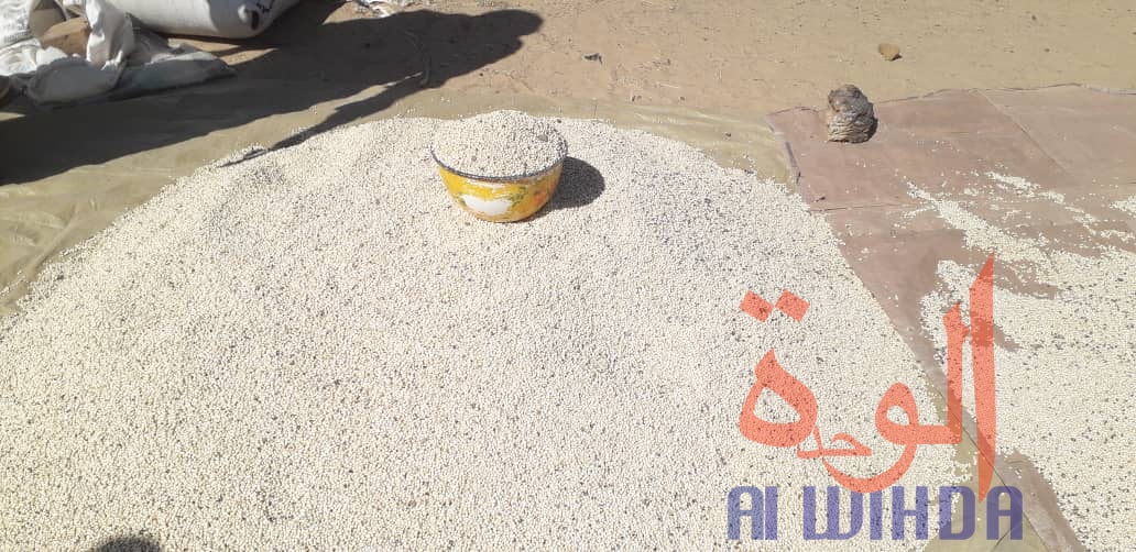 Tchad : Linia, un véritable axe commercial en manque de modernité. © Djibrine Haïdar/Alwihda Info