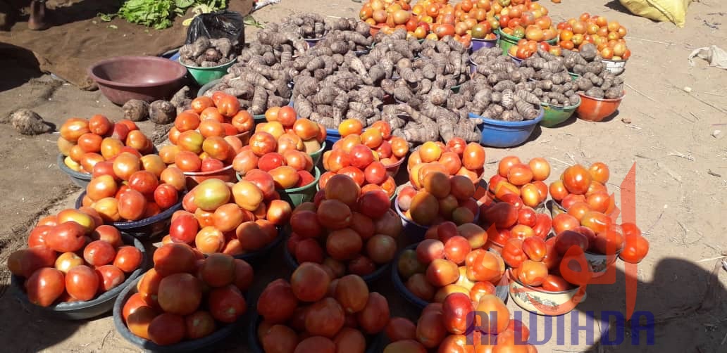 Tchad : Linia, un véritable axe commercial en manque de modernité. © Djibrine Haïdar/Alwihda Info