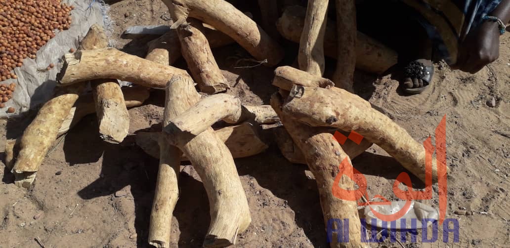 Tchad : Linia, un véritable axe commercial en manque de modernité. © Djibrine Haïdar/Alwihda Info