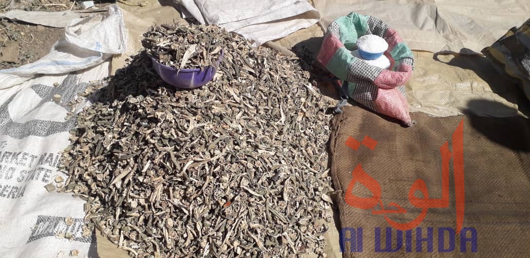 Tchad : Linia, un véritable axe commercial en manque de modernité. © Djibrine Haïdar/Alwihda Info