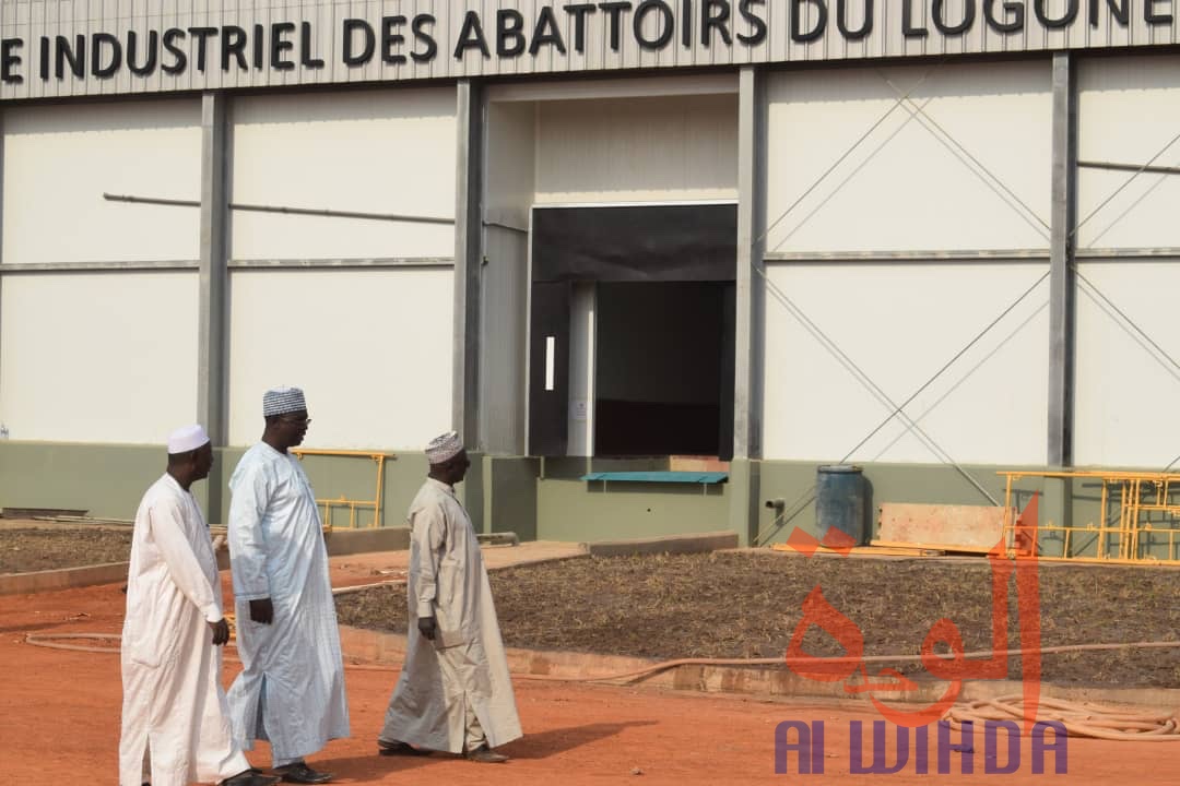 Tchad : l'abattoir moderne de Moundou, une aubaine économique. © Alwihda Info/PR