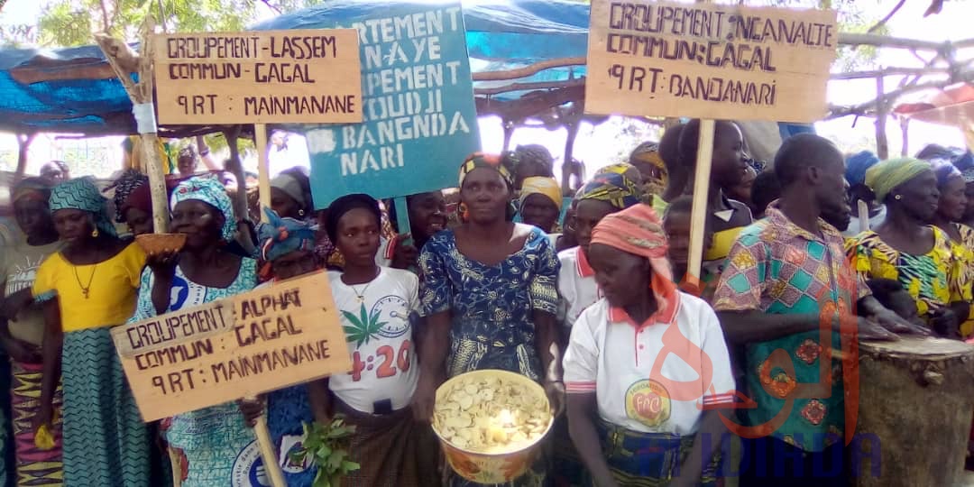 Tchad : la semaine de la femme lancée en grande pompe à Gagal. © Foka Mapagne/Alwihda Info