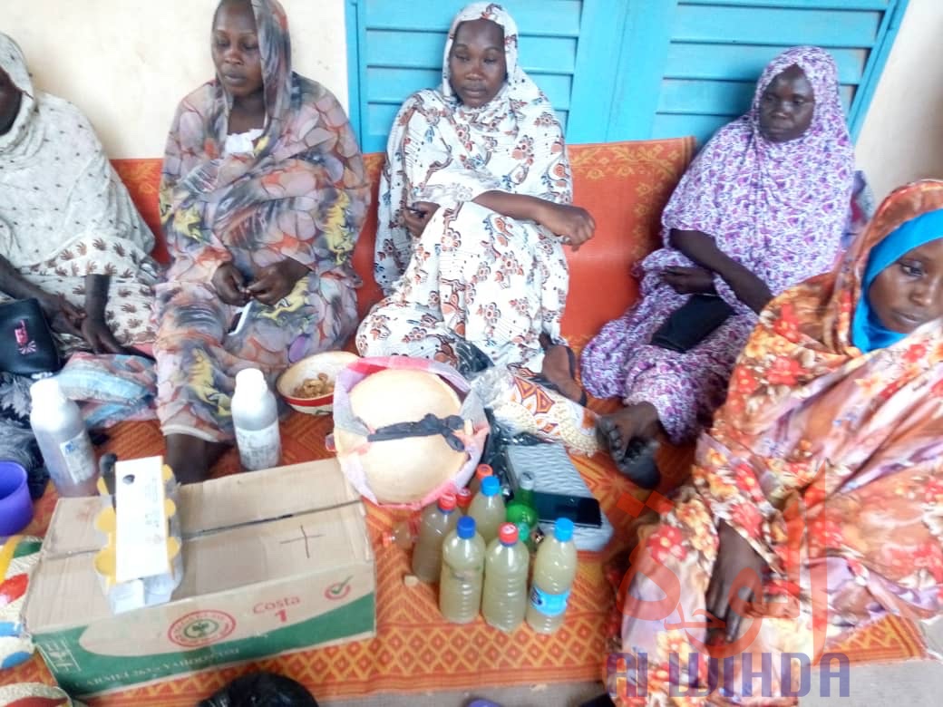 Tchad : la SENAFET, un moment d'échange et de partage à Mongo. © Adam Ibrahim/Alwihda Info