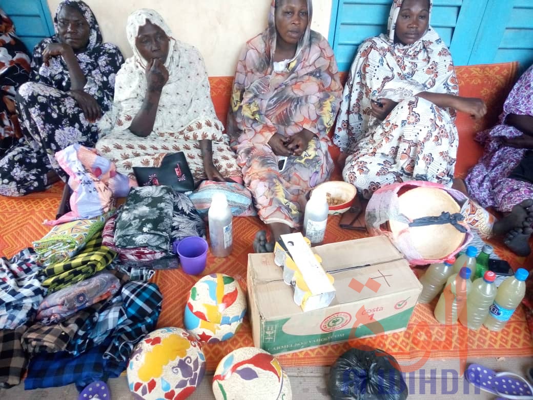 Tchad : la SENAFET, un moment d'échange et de partage à Mongo. © Adam Ibrahim/Alwihda Info