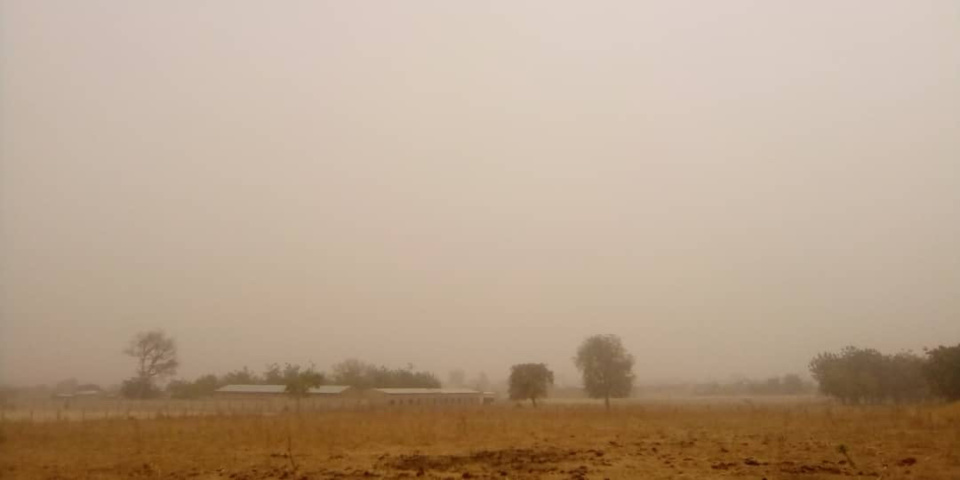 Tchad : brume de poussière et visibilité très réduite à Pala. Crédits : Foka Mapagne/Alwihda Info