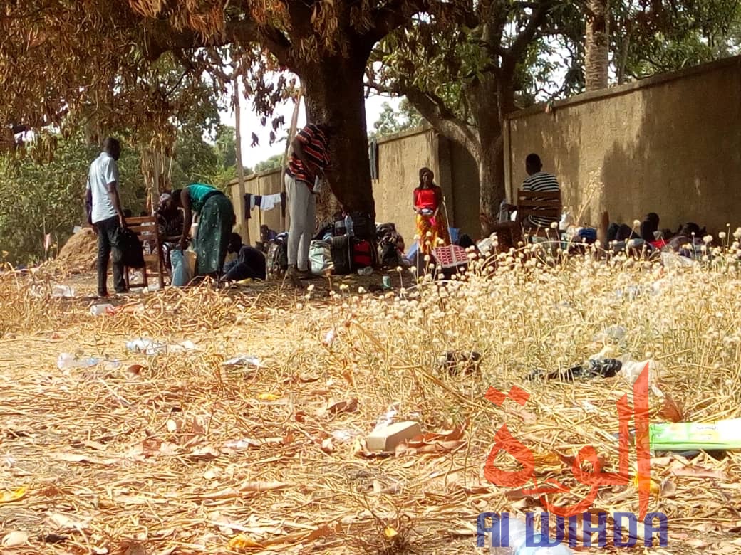 Tchad - Covid-19 : des conditions difficiles pour les étudiants confinés à Koutéré