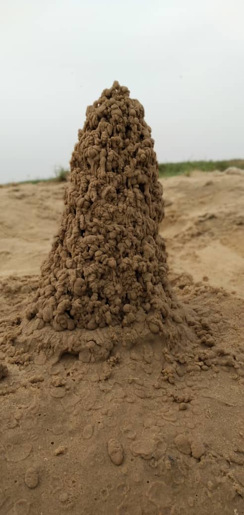 Tchad : à N'Djamena, le fleuve offre du réconfort pendant la canicule. © Djibrine Haïdar/Alwihda Info