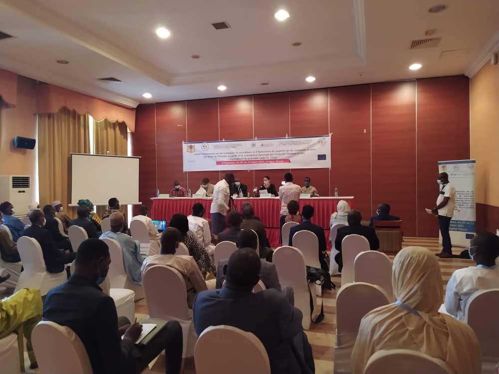 Tchad : le HCDH forme la société civile sur la protection des droits humains
