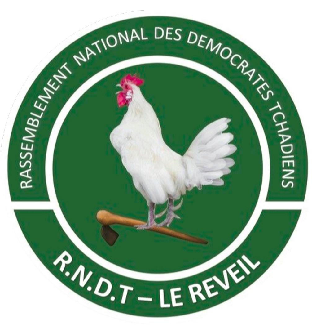 Présidentielle au Tchad : le programme de Pahimi Padacket Albert