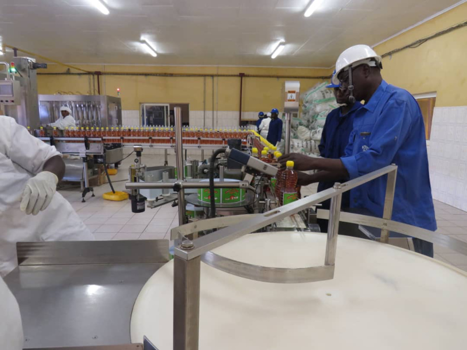 Tchad : le secteur du coton enregistre des progrès tangibles