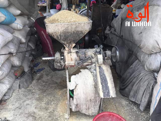 Tchad : la pauvreté et l'insécurité alimentaire gagnent du terrain