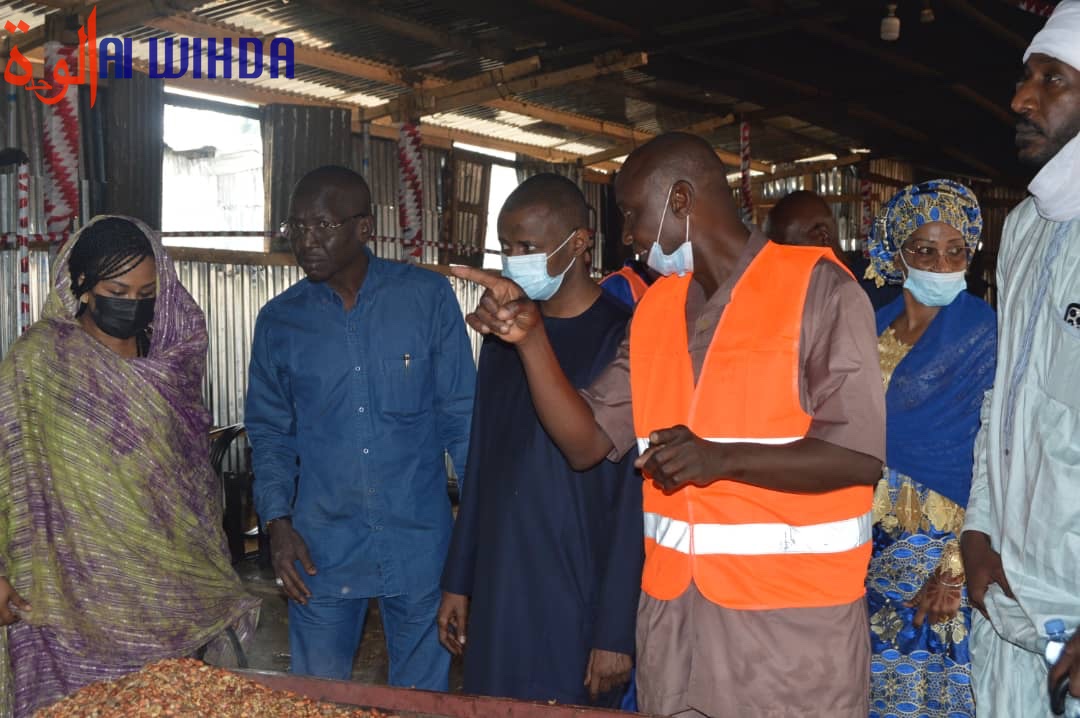 Tchad : le fonds de l'entrepreneuriat des jeunes en appui au secteur privé