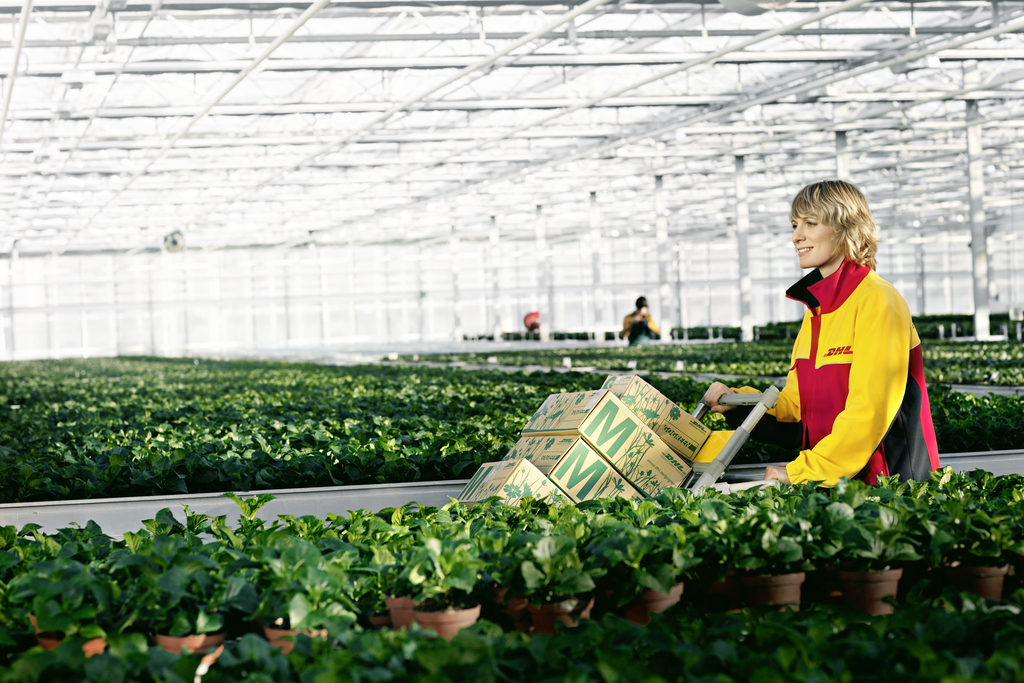 Le secteur de l'agroalimentaire est sur le point d'exploser en Afrique, affirme DHL‏