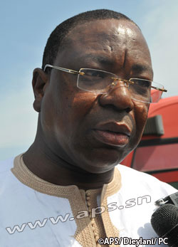 Plus de six cents sénégalais ont fui la Centrafrique de peur des AntiBalaka