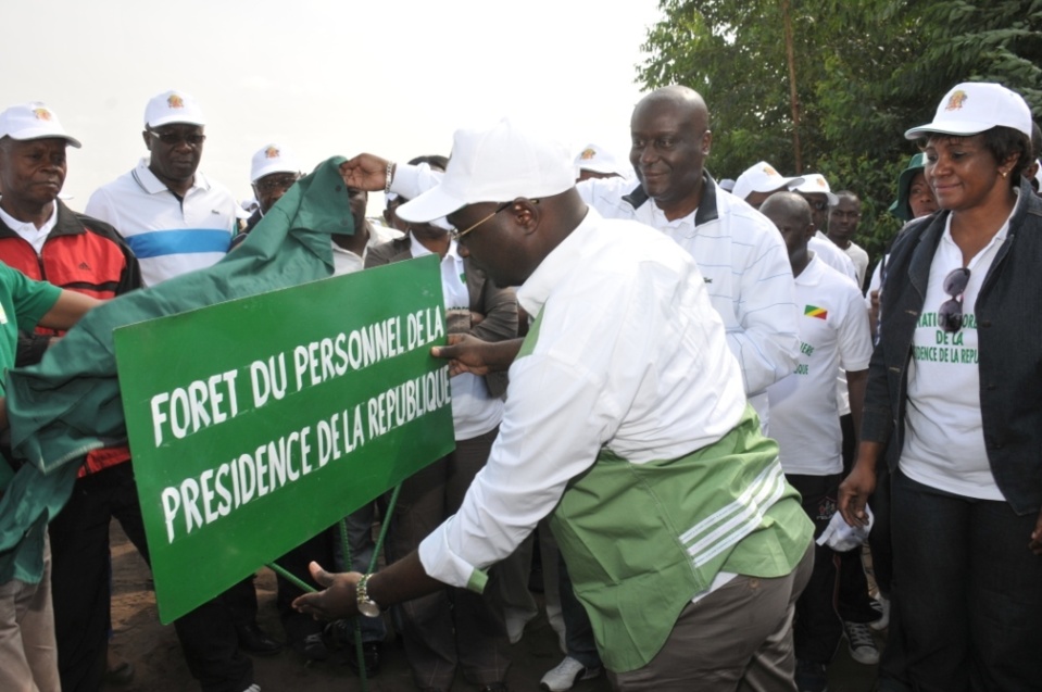 Initiative " campagne des plantations des institutions" au Congo: la présidence plante 1428 Eucalyptus