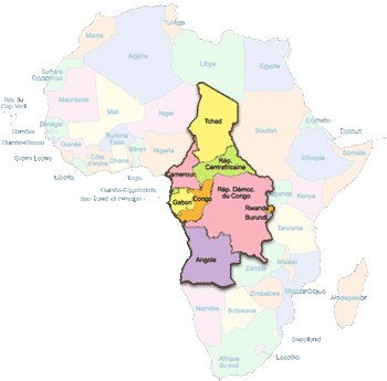 Création d'un nouveau parti panafricain dans l'espace CEEAC