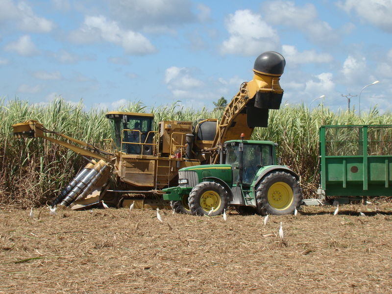 La SOSUCAM s’engage pour la modernisation de l’agriculture au Cameroun