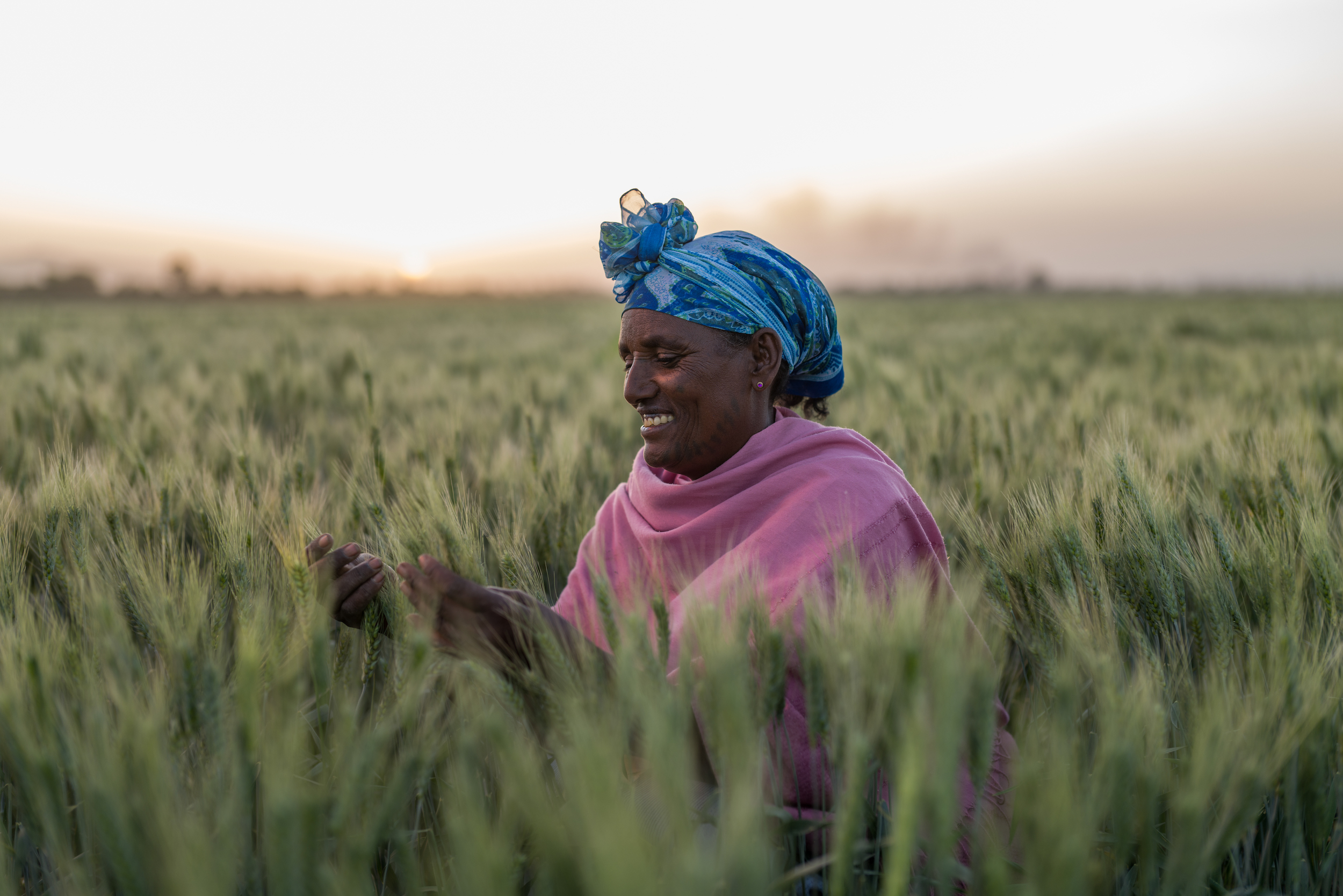 La BAD approuve une facilité de 1,5 milliard de dollars pour prévenir une crise alimentaire. © Afdb