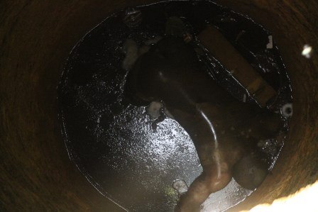 Le corps d'un soldat congolais retrouvé dans un puis à Bangui. Crédit photo : Diaspora Media