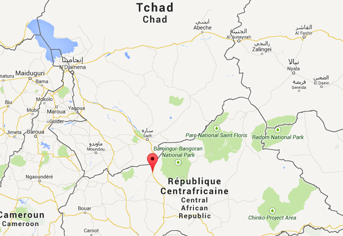 RCA : L'archevêque de Bossangoa, des prêtres et des médecins libérés par leurs ravisseurs