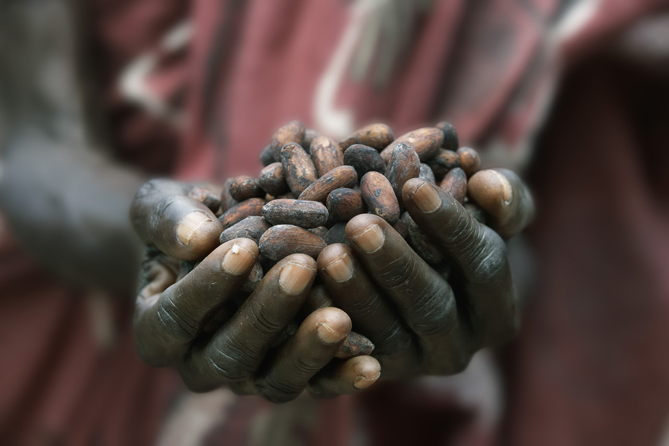 Crédit photo : Sources