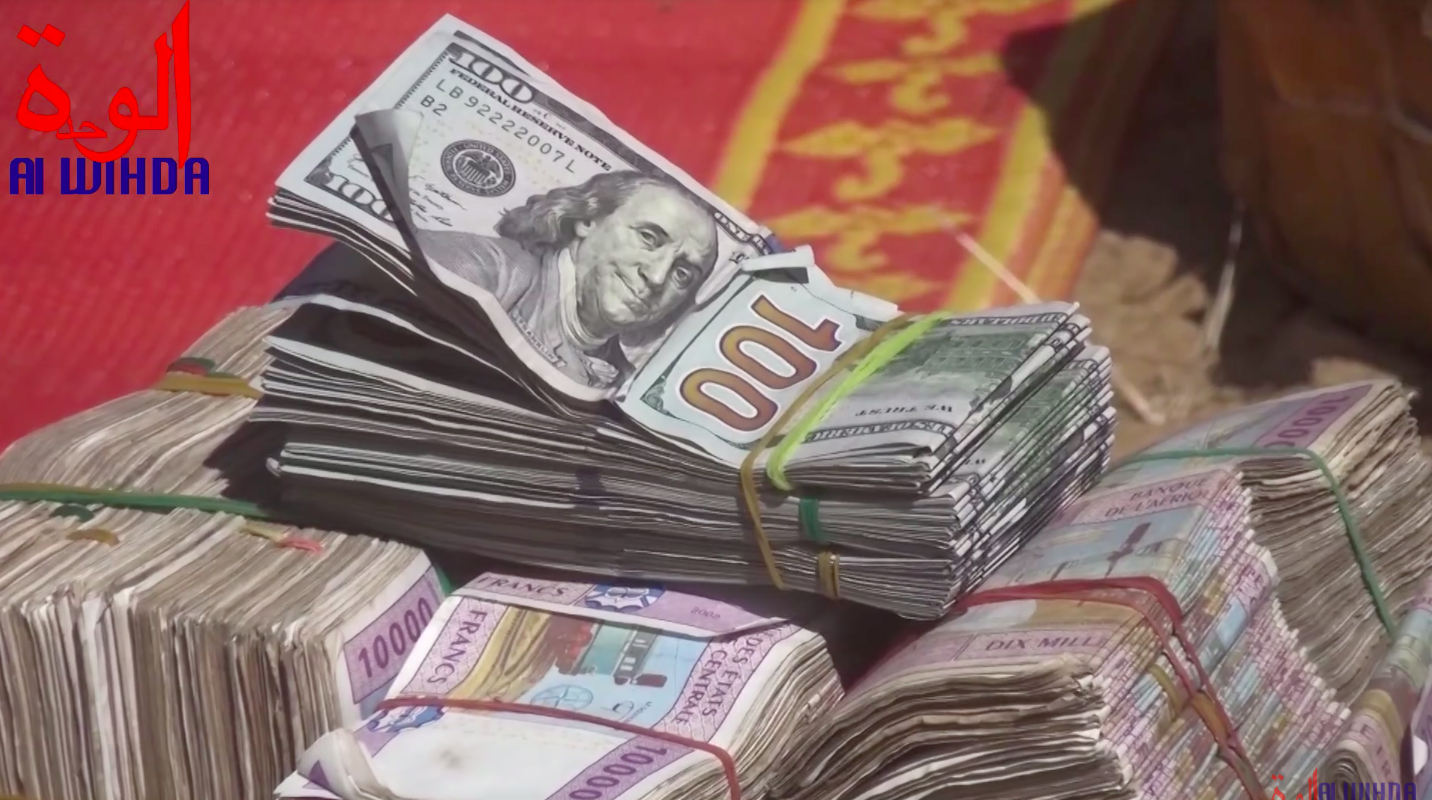 Tchad : Il faut voler, et vite ! Ce n’est qu’une transition