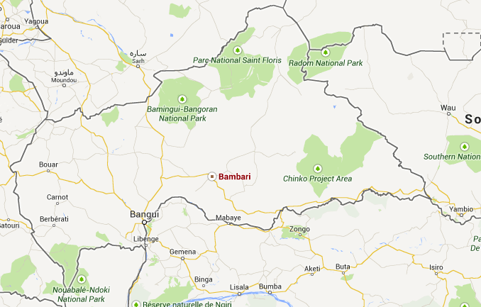 Nord-RCA : "Nous avons mis en place une structure pour contrôler la zone, pour éviter l'anarchie"