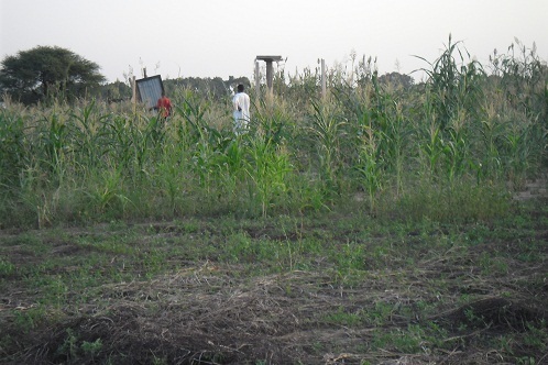 Tchad - Immobilier: Louer, acheter, vendre