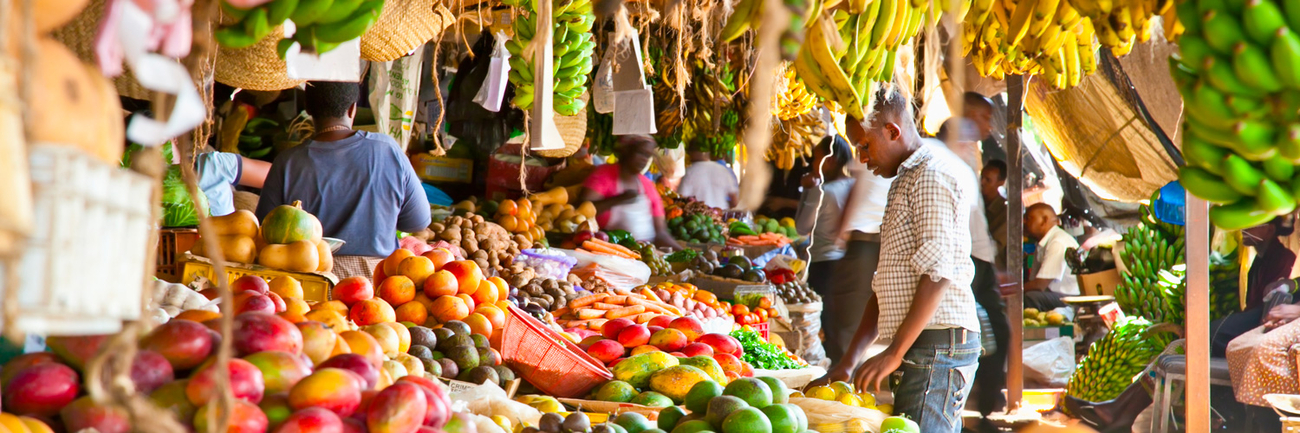 Union africaine : les États membres s'engagent à renforcer la nutrition et la sécurité alimentaire en Afrique