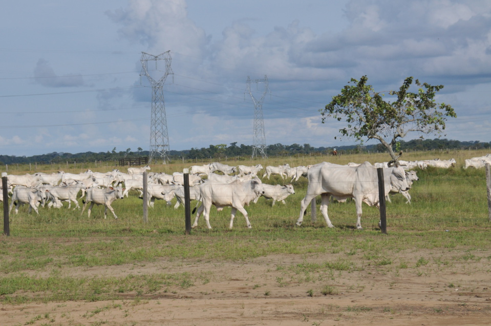 Congo-Sénégal : Macky Sall apprécie l’expérience agropastorale de Sassou N’Guesso