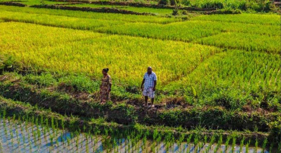 Afrique : le continent reste résilient face aux nouveaux chocs, mais les financements doivent être accélérés (rapport)