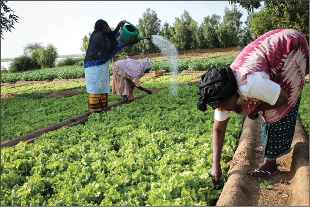 Entreprises dirigées par des femmes au Sahel : près de 1 million $ de dons de la BAD fondés sur le genre